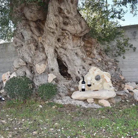 I Secolari Di Giulia 2 * Avola