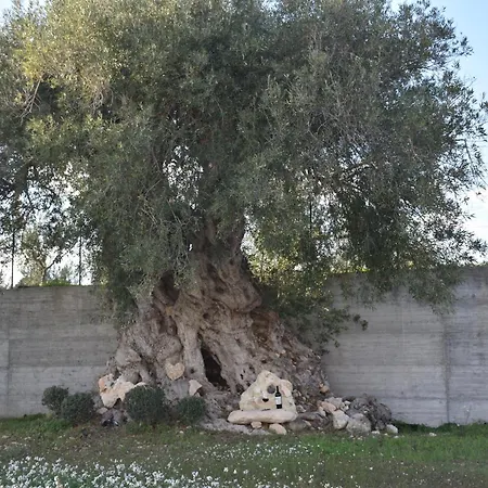 דירה I Secolari Di Giulia 2 *