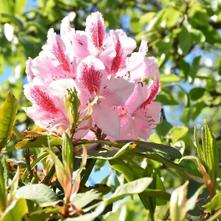 דירה I Secolari Di Giulia 2 *