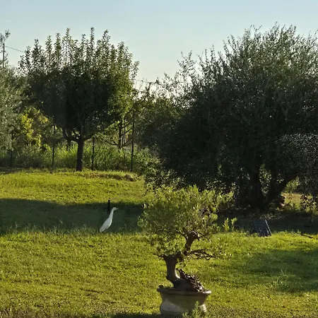 I Secolari Di Giulia 2 דירה אבולה