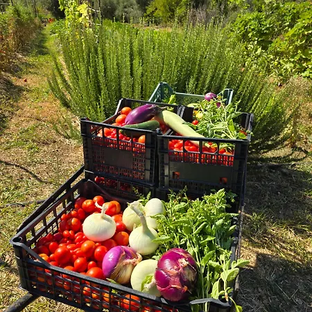 I Secolari Di Giulia 2 אבולה