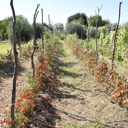 I Secolari Di Giulia 2 אבולה