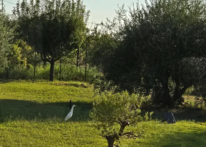 I Secolari Di Giulia 2 Apartment Avola