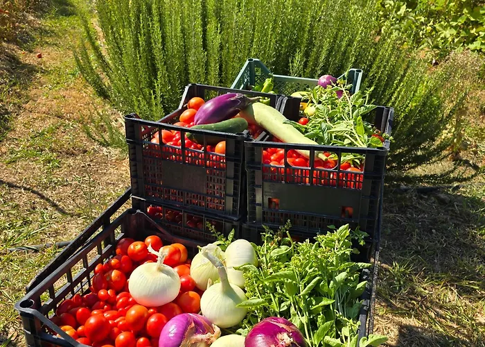 I Secolari Di Giulia 2 Avola