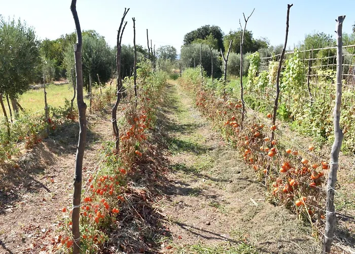 I Secolari Di Giulia 2 Avola